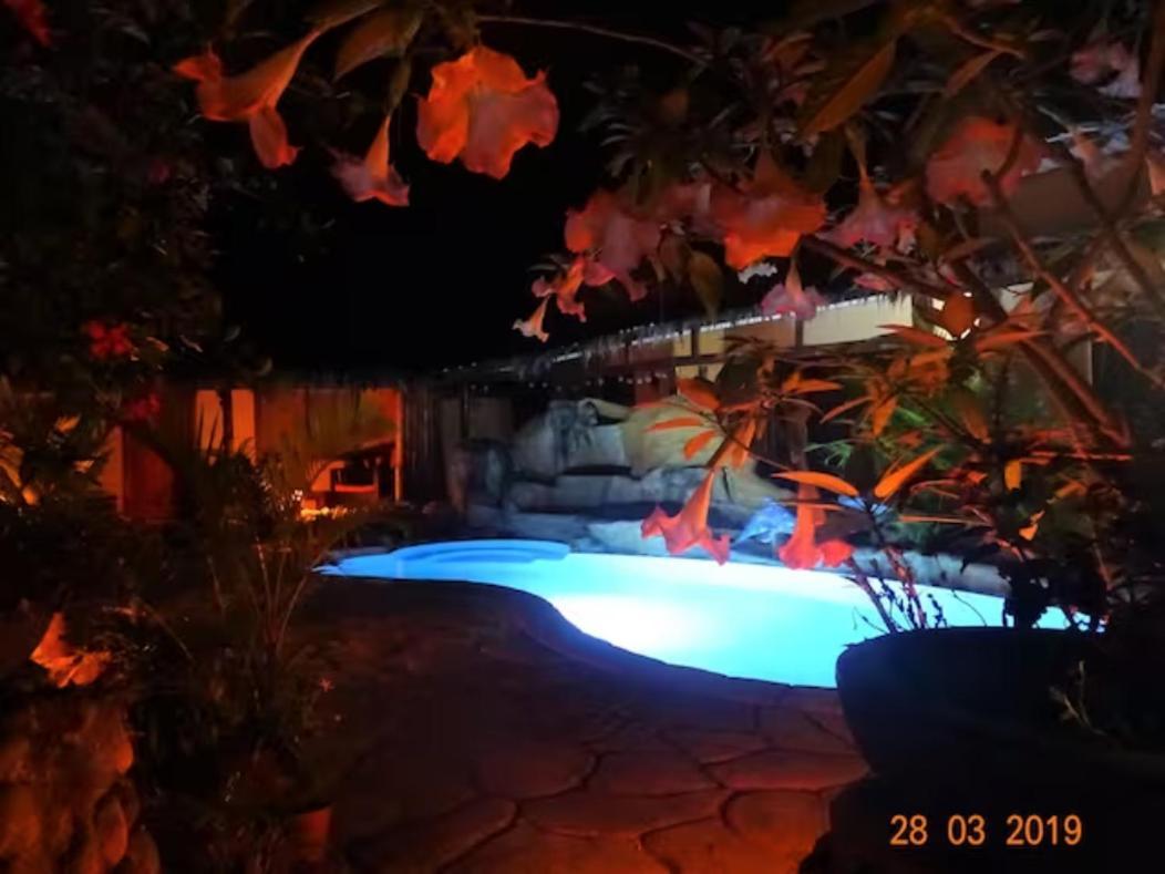 Hotel Casa Caribbean Coconut à Cahuita Extérieur photo