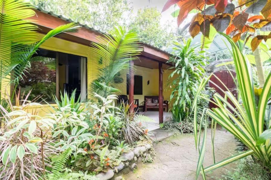 Hotel Casa Caribbean Coconut à Cahuita Extérieur photo