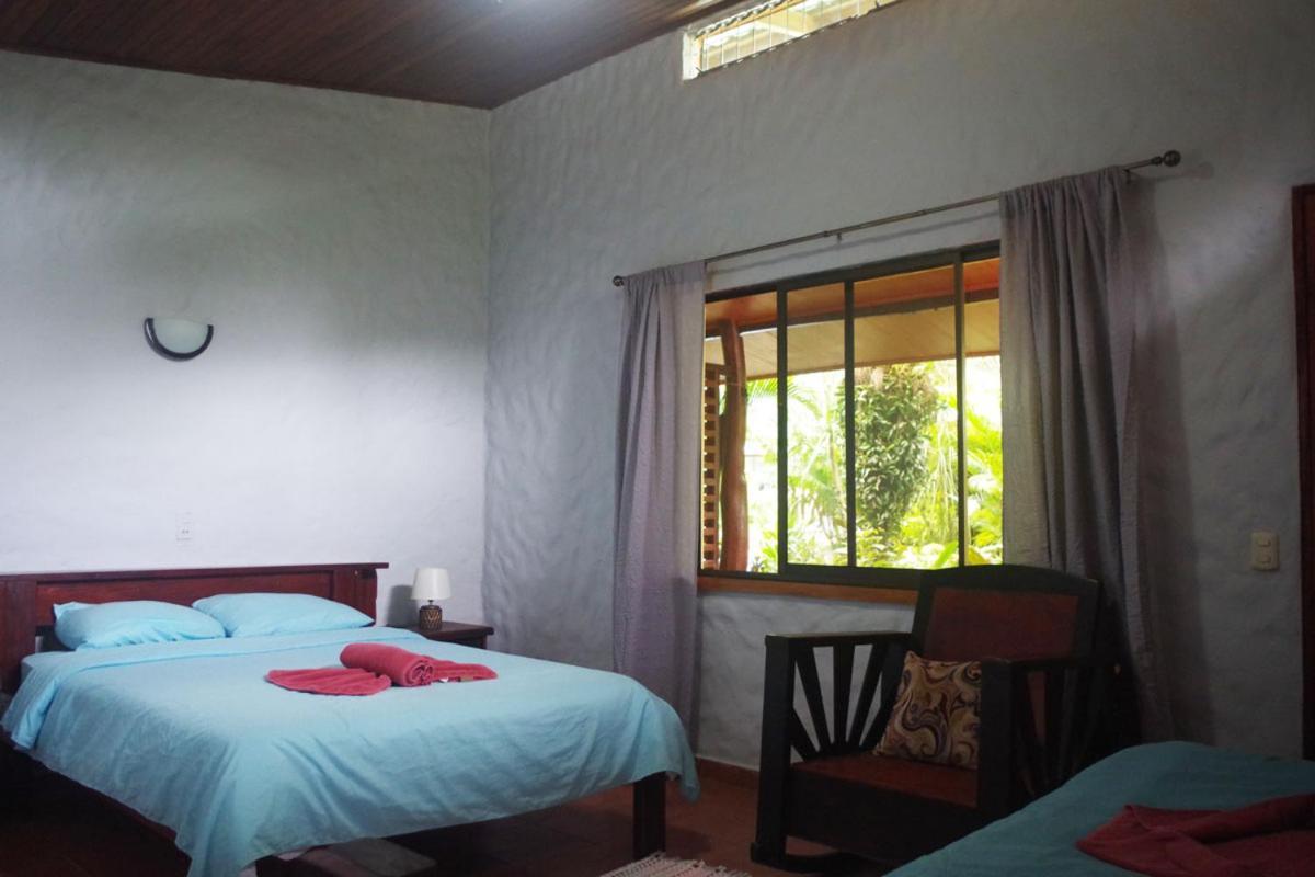 Hotel Casa Caribbean Coconut à Cahuita Extérieur photo