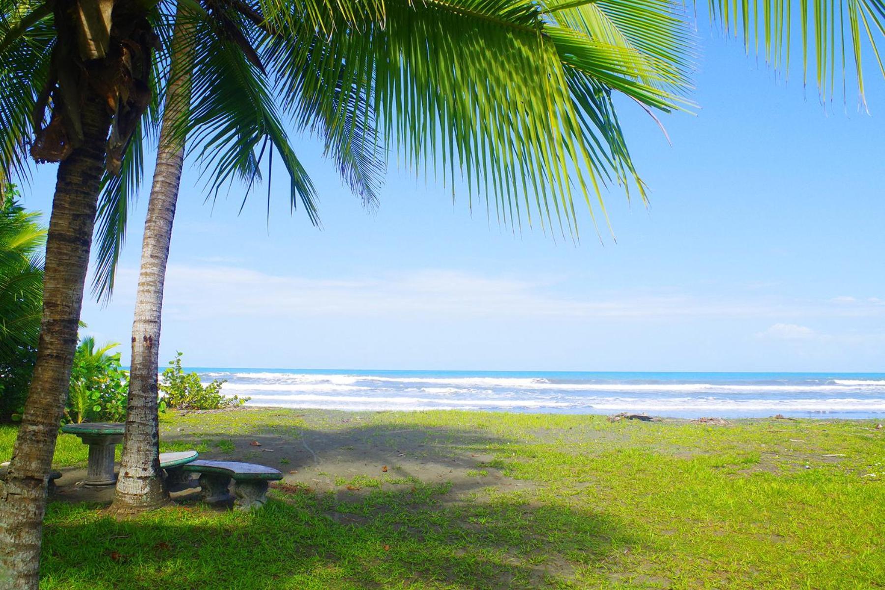 Hotel Casa Caribbean Coconut à Cahuita Extérieur photo